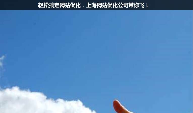 輕松搞定網站優化，上海網站優化公司帶你飛！
